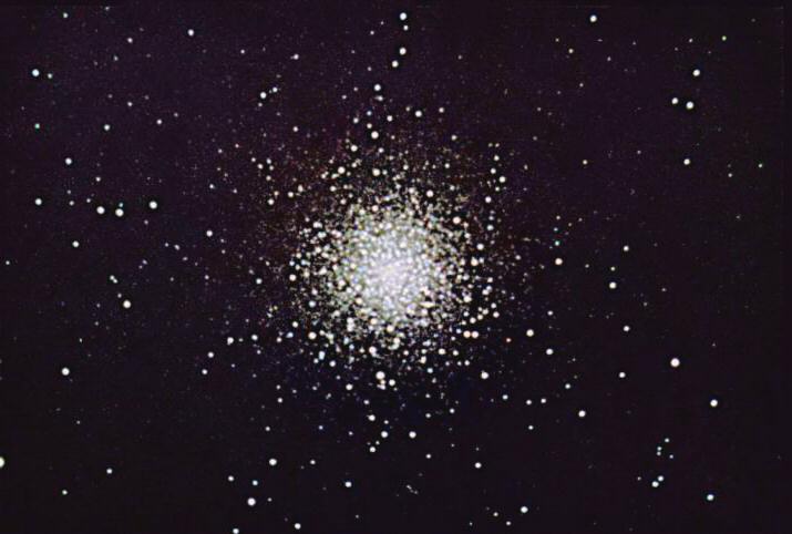 M79