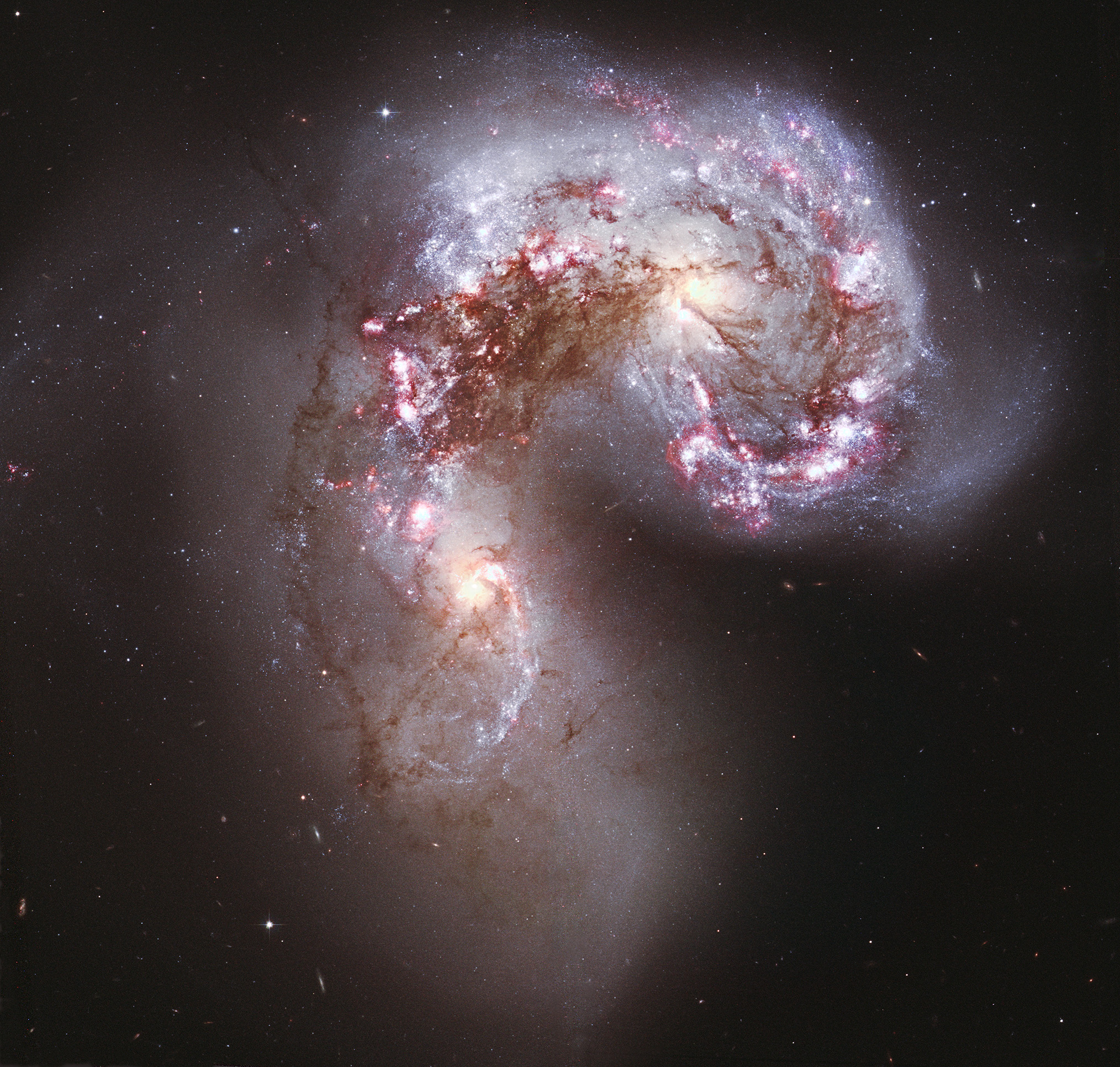 NGC 4038 and NGC 4039 The Antennae Galaxies - Hubble Legacy Archive