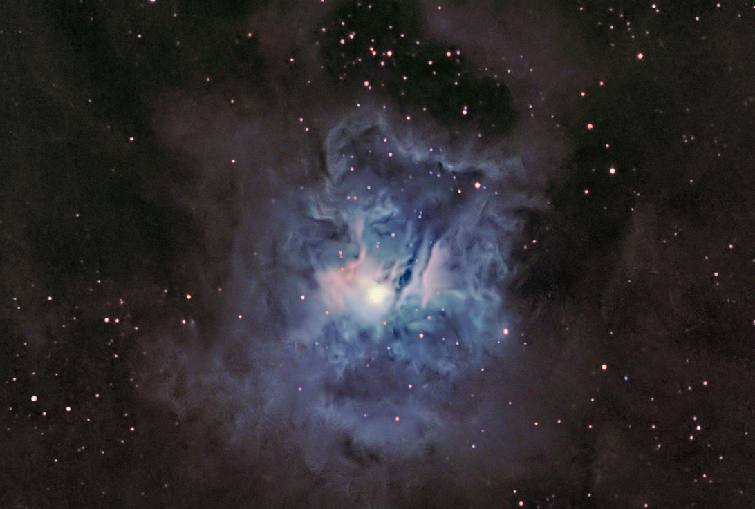 NGC 7023 - The Iris Nebula