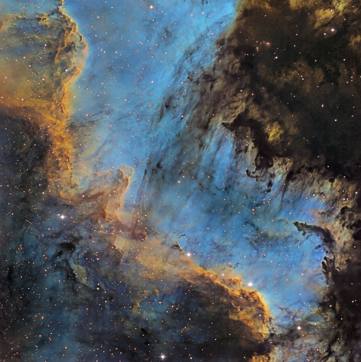 Cygnus Wall in NGC 7000