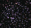 M52 - Open Cluster in Cassiopeia