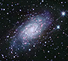 NGC 2403