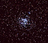 The Wild Duck Cluster