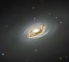 M64