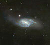 M66 in Leo