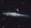 The Whale Galaxy