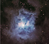 NGC 7023 - The Iris Nebula