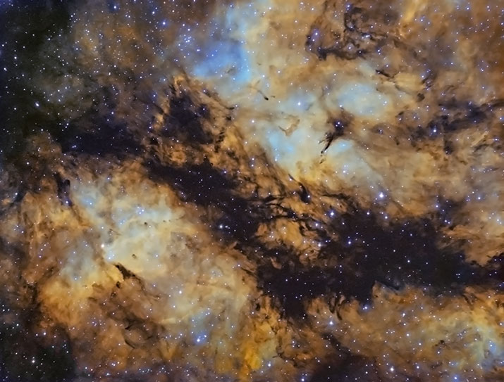 IC1318