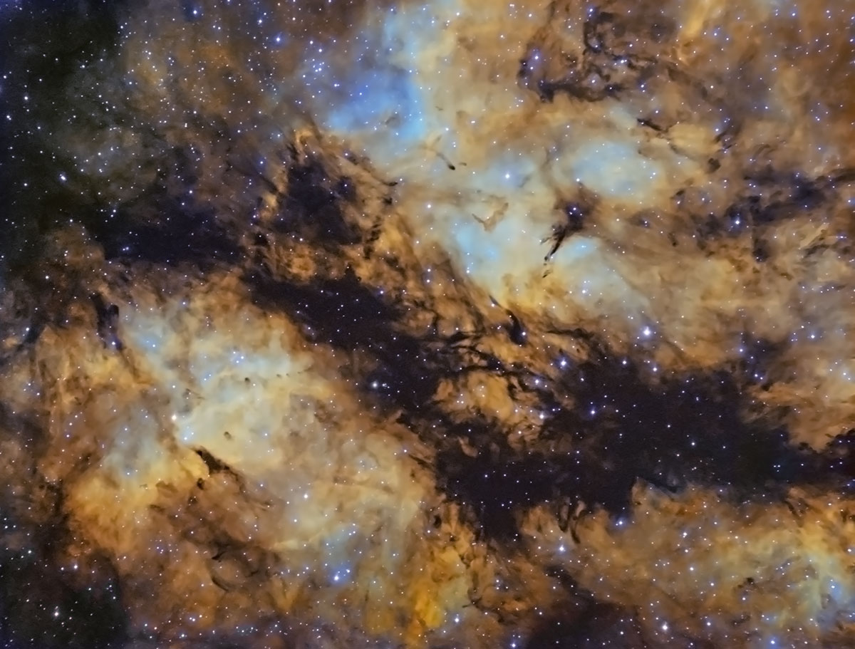 IC1318