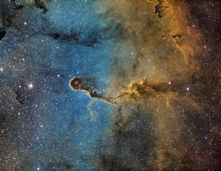 IC 1396