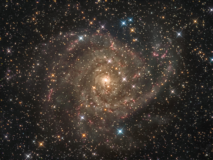 IC 342 - The Hidden Galaxy IC342