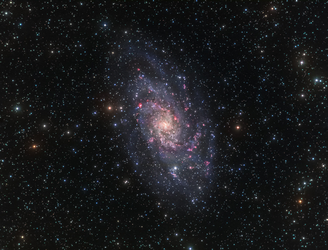 M33