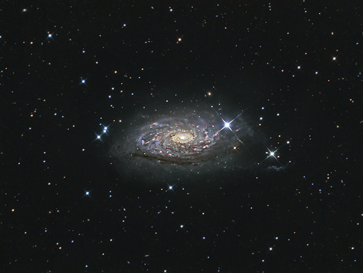 M 63