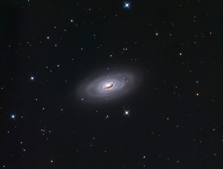 M64