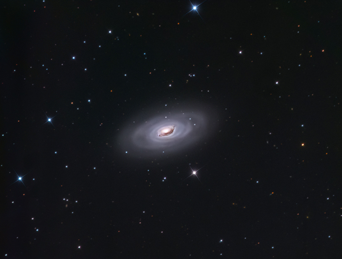 M64