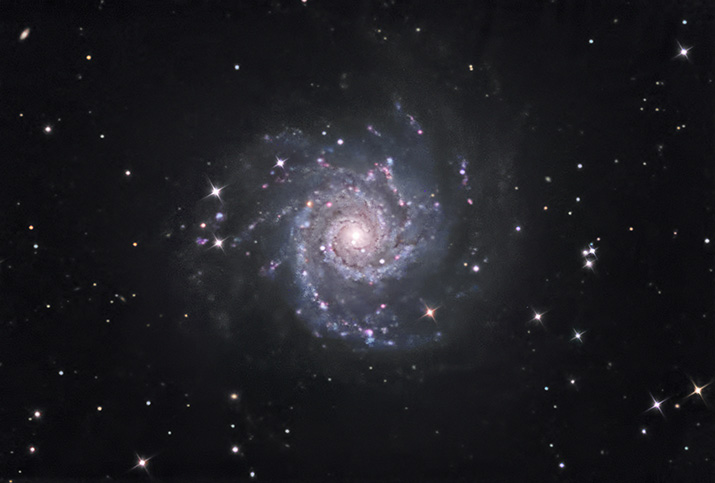 M74