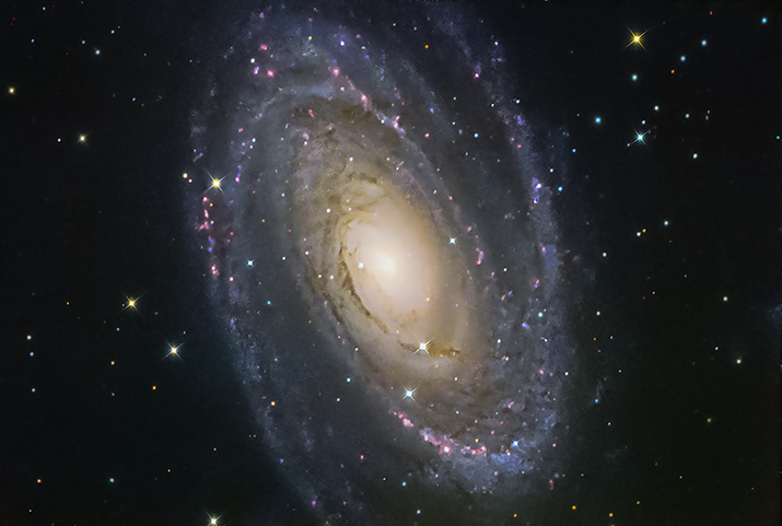 M81