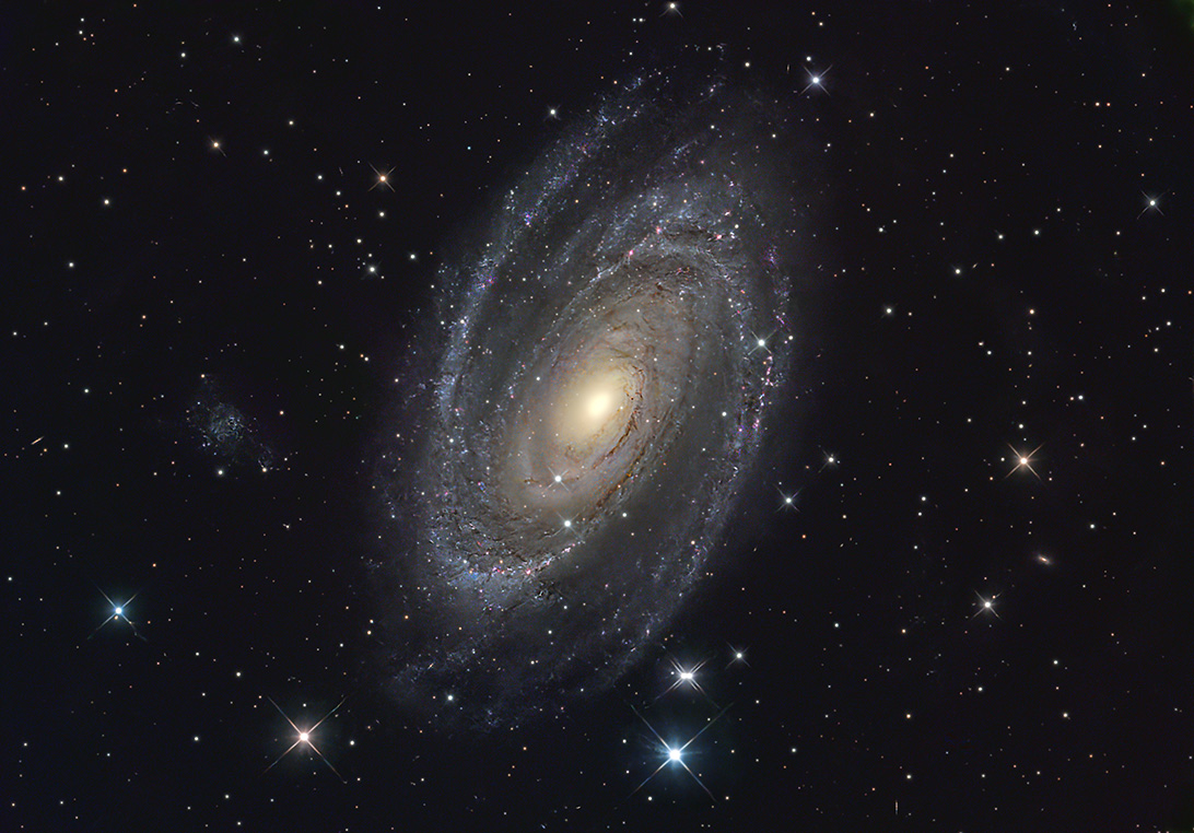 M 81
