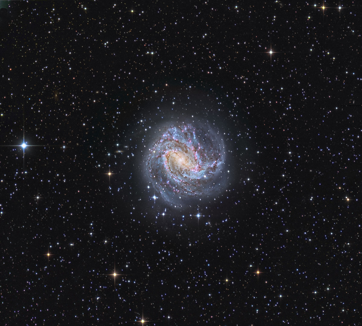 M083 The Southern Pinwheel