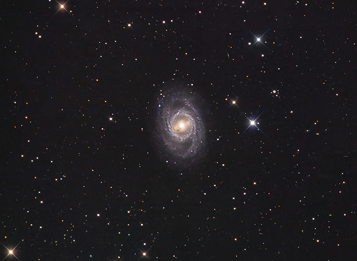 M95
