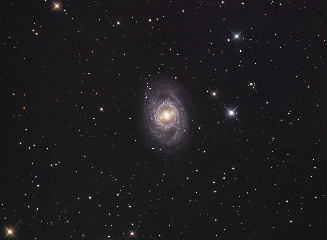 M95