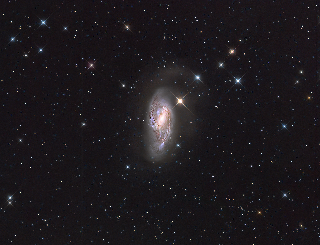 M66