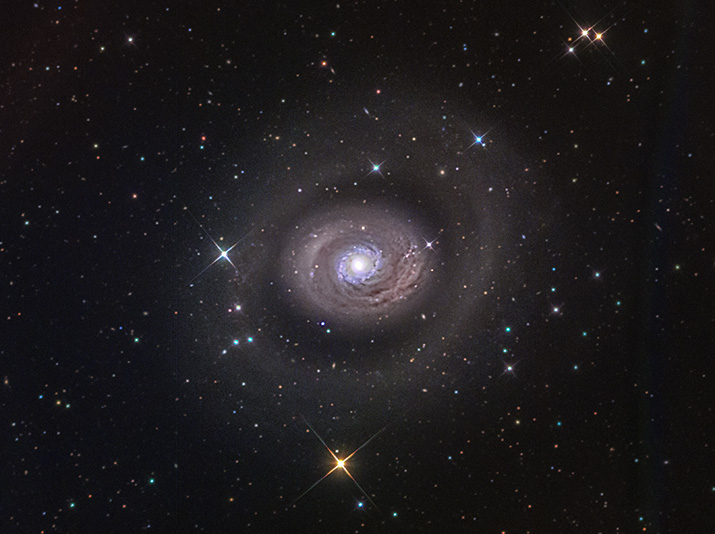 M94