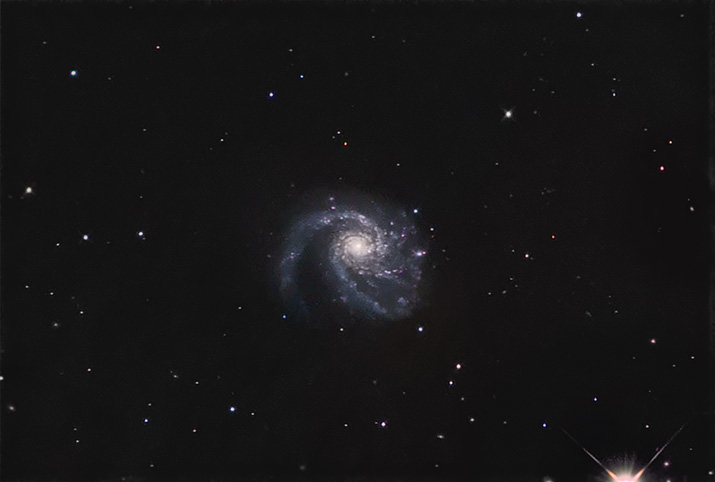 M99
