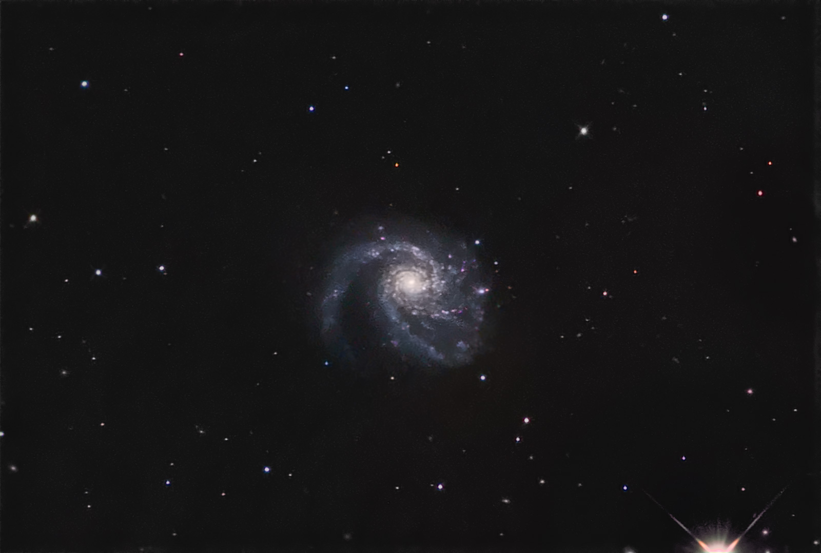 M99
