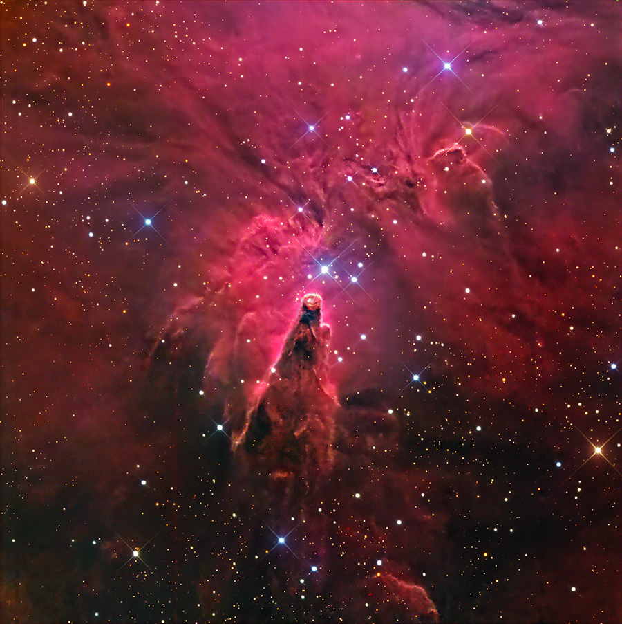 NGC 2264