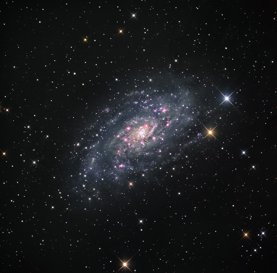 NGC 2403