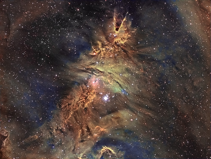 NGC 2264