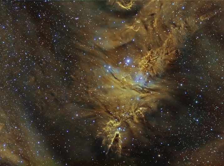 NGC 2264