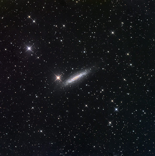 NGC 6503