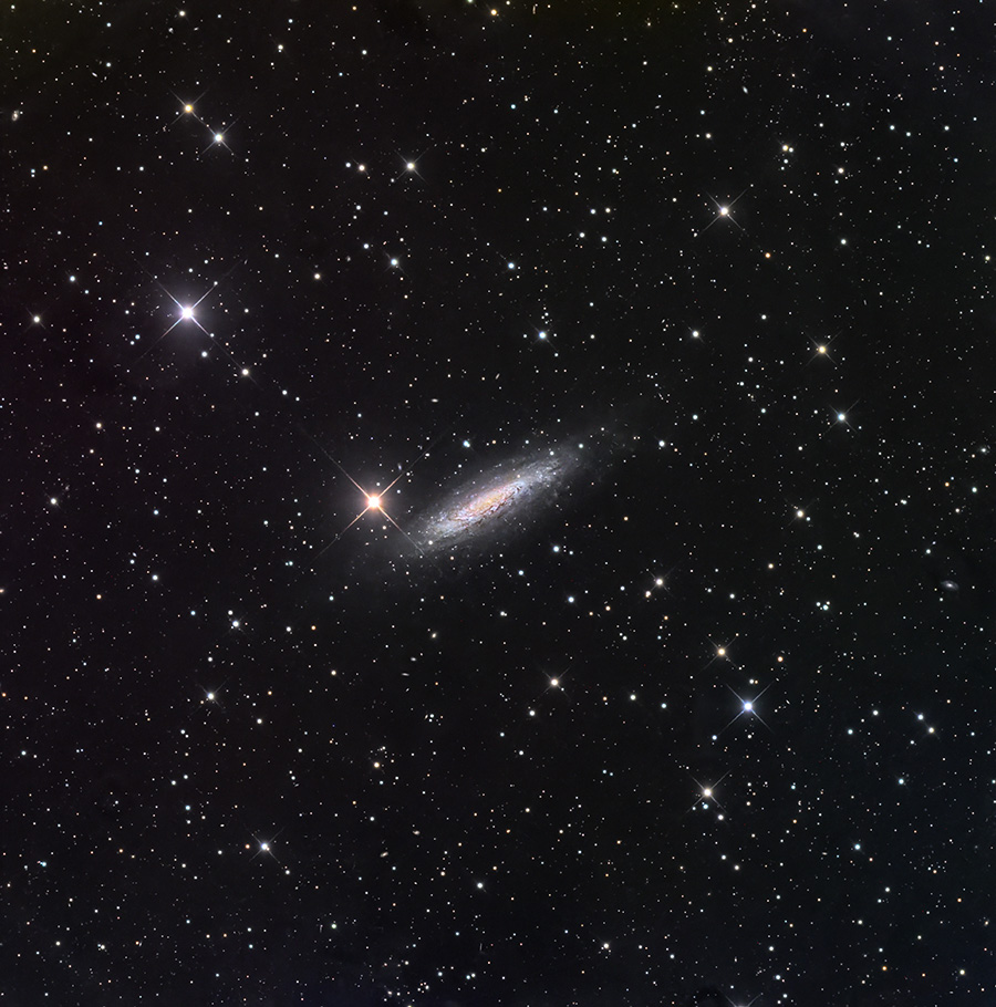 NGC 6503