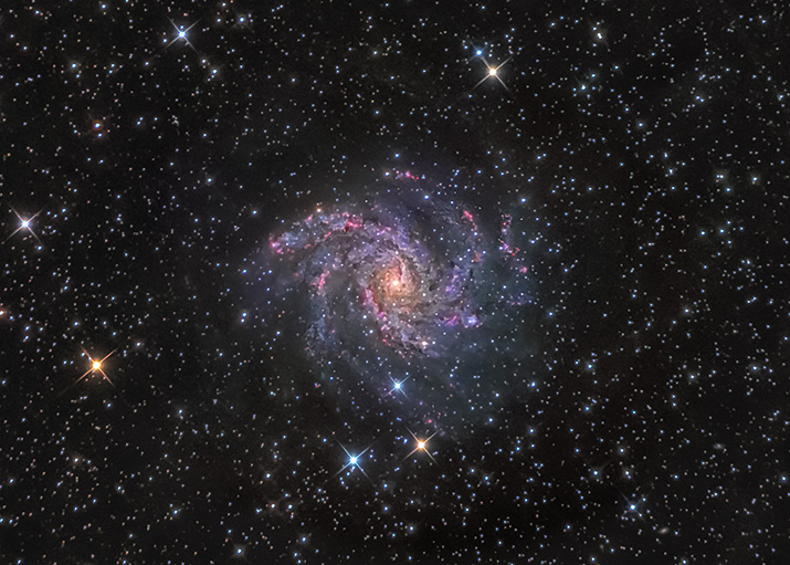 NGC 6946