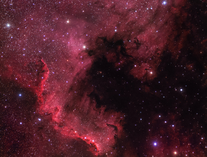 NGC 7000