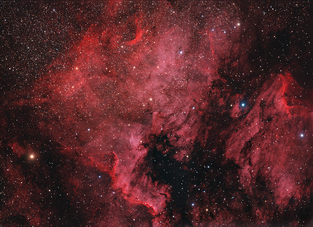 NGC 7000