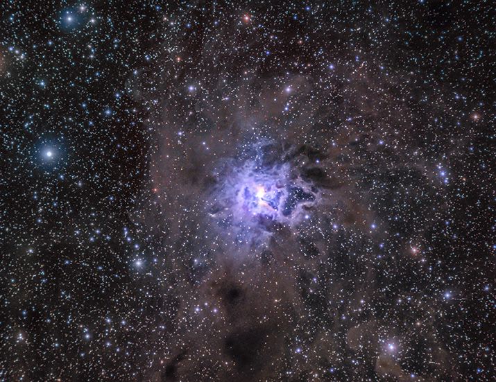 NGC 7023