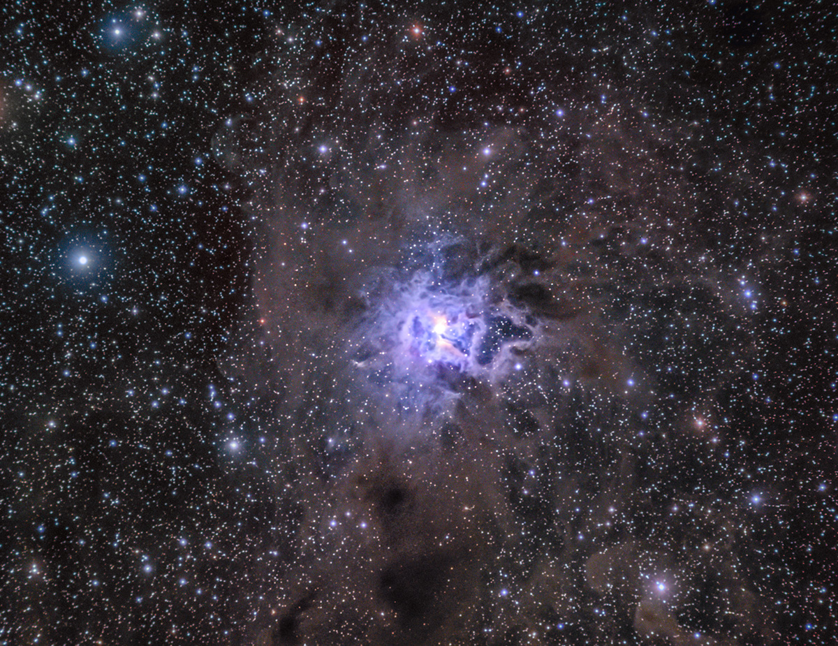 NGC 7023