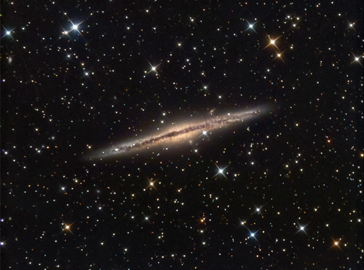 NGC891