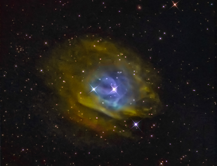 Sh2-313