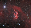 CCN