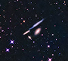 HCG 61