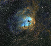 IC 410