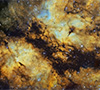 IC1318