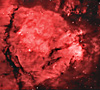 IC 1795 - The Northern Bear Nebula
