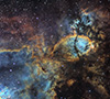 IC1795