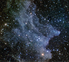IC 2118