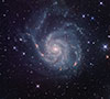 M 101